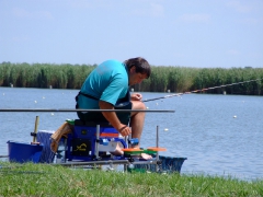 ohcsb_velence_2008_85