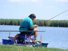 ohcsb_velence_2008_86