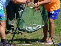 ohcsb_velence_2008_91