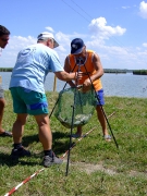 ohcsb_velence_2008_99