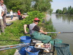 Csapatbajnokság 2009 (RSD) - I. osztály - A Versenybizottság képei