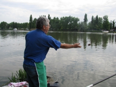 ohcsb_rsd_2009_2o_19