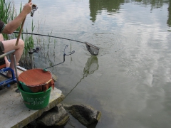 ohcsb_rsd_2009_2o_41