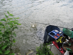 ohcsb_rsd_2009_2o_70