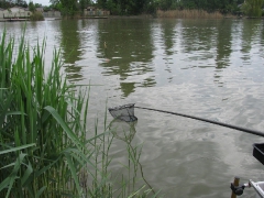 ohcsb_rsd_2009_2o_74