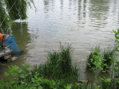 ohcsb_rsd_2009_2o_84