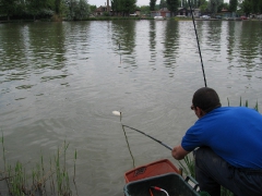 ohcsb_rsd_2009_2o_89