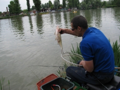 ohcsb_rsd_2009_2o_90