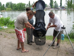 ohcsb_rsd_2009_2o_94