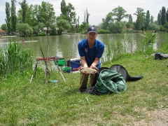 ohcsb_rsd_2009_2o_98