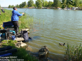 feeder_egyeni_bajnoksag_2021_110