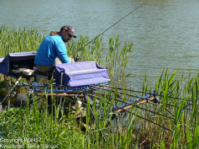 feeder_egyeni_bajnoksag_2021_117