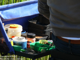 feeder_egyeni_bajnoksag_2021_141