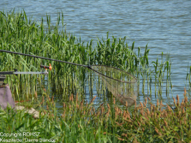 feeder_egyeni_bajnoksag_2021_146