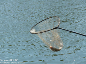 Feeder egyéni bajnokság - Csepel, 2021.05.08. (Deme Sándor képei)