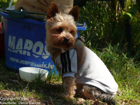 feeder_egyeni_bajnoksag_2021_17