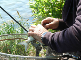 feeder_egyeni_bajnoksag_2021_19