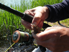 feeder_egyeni_bajnoksag_2021_20