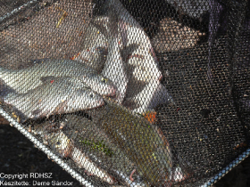 feeder_egyeni_bajnoksag_2021_40