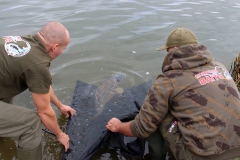 rsd_carp_cup_2016-11