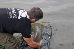 rsd_carp_cup_2016-49