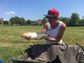 method_feeder_ob_2019_6