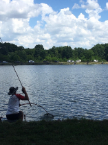 method_ob_2020_gyimesi_2