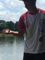 method_ob_2020_gyimesi_6