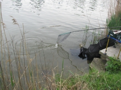 mohosz_match_2010_40