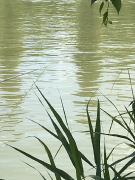 RDHSZ Csapatbajnokság 2018_27