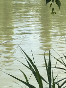 RDHSZ Csapatbajnokság 2018_28