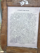 RDHSZ Csapatbajnokság 2018_35