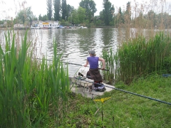 csapatbajnoksag_2010_1_10