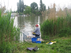 csapatbajnoksag_2010_1_13