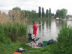 csapatbajnoksag_2010_1_15