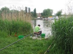 csapatbajnoksag_2010_1_17