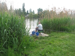 csapatbajnoksag_2010_1_18