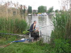 csapatbajnoksag_2010_1_19