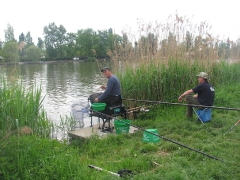 csapatbajnoksag_2010_1_21