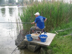 csapatbajnoksag_2010_1_27