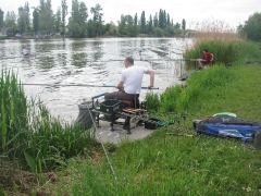 csapatbajnoksag_2010_1_29