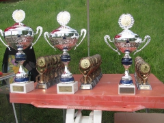 csapatbajnoksag_2010_1_2