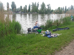 csapatbajnoksag_2010_1_31