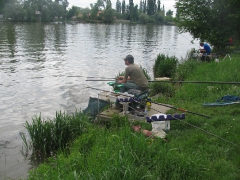 csapatbajnoksag_2010_1_35