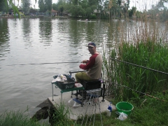 csapatbajnoksag_2010_1_38