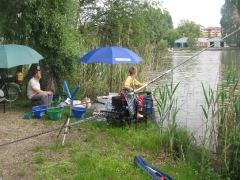 csapatbajnoksag_2010_1_3