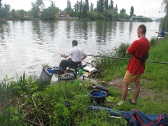 csapatbajnoksag_2010_1_41