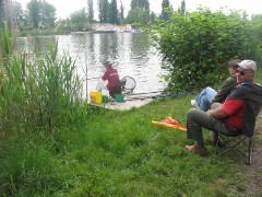 csapatbajnoksag_2010_1_4