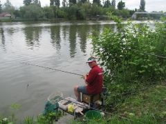 csapatbajnoksag_2010_1_50