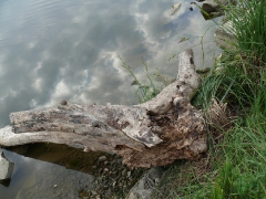 csapatbajnoksag_1_2011_17